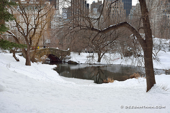 The Pond