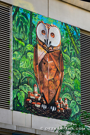 5PointzLIC