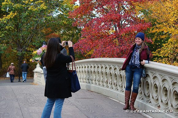 Bow Bridge