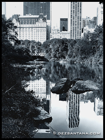 The Pond