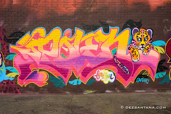 The Bushwick Collective