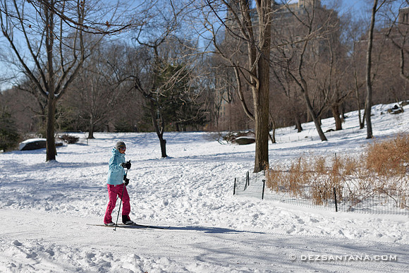 Cross Country Skiing