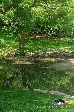 Reflection