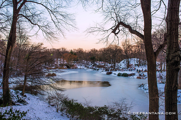 The Pond