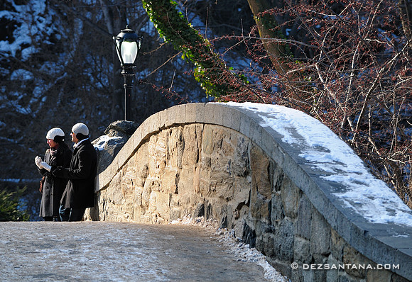 Gapstow Bridge