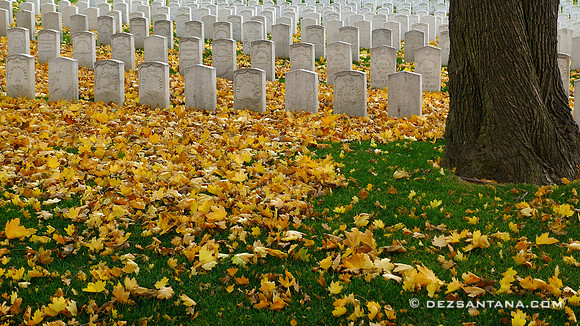 Cypress Hills National Cemetery
