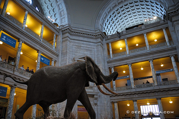 Smithsonian National Museum of Natural History