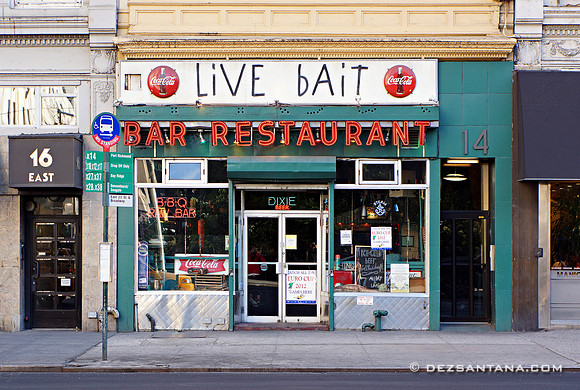 Live Bait
