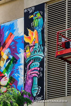 5PointzLIC