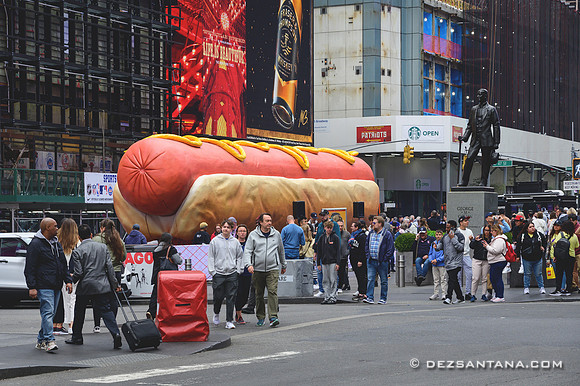 Hot Dog In The City
