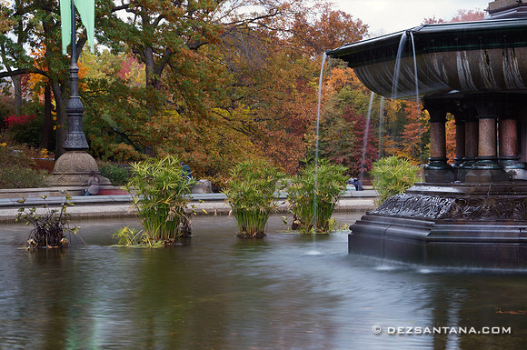 Bethesda Fountain