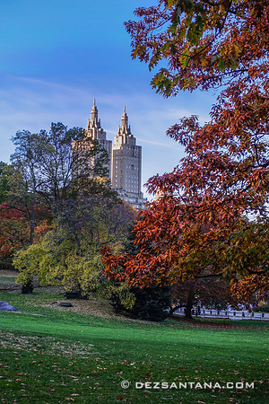 Fall Foliage
