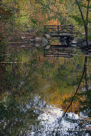 The Loch