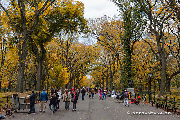 The Mall & Fall