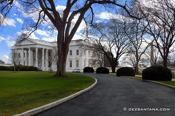 The White House