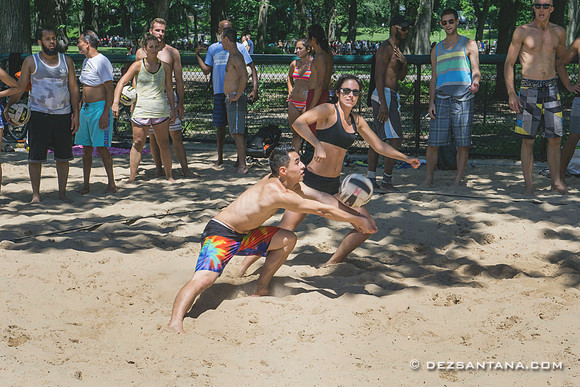 Volleyballers