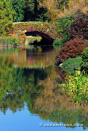 Gapstow Bridge