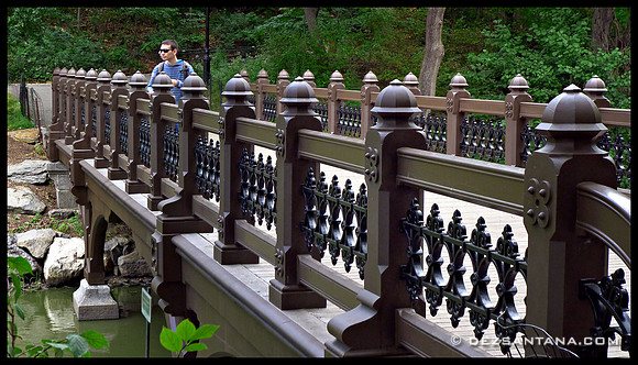 Oak Bridge