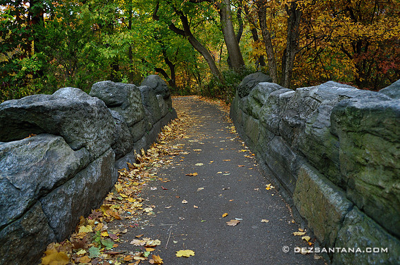 The Ramble