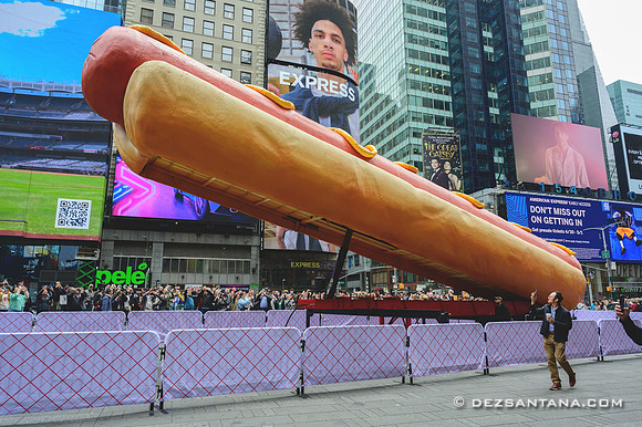 Hot Dog In The City
