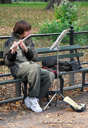 Musician