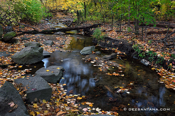 Stream Valley