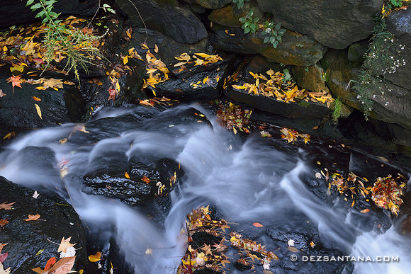 Waterfall At Glen Span Arch