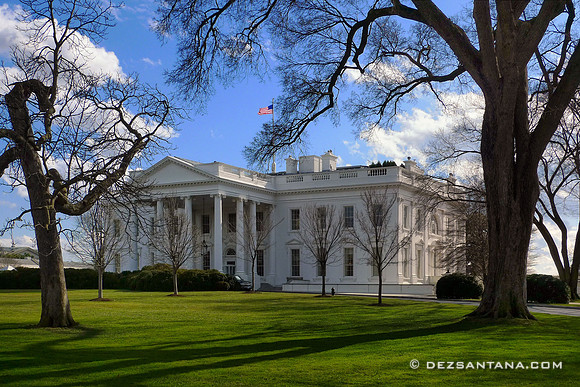 The White House