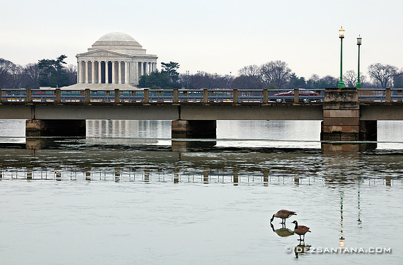 Kutz Bridge & Jefferson Memorial