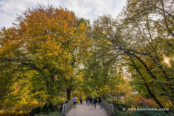 Reservoir Bridge