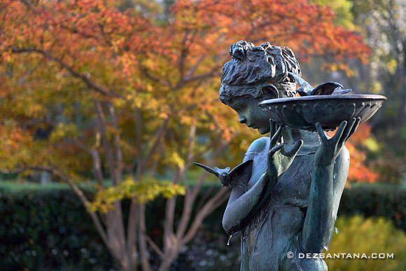 Burnett Memorial Fountain