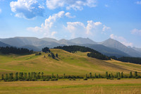 Montana