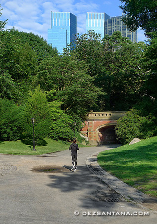 Asphalt Path