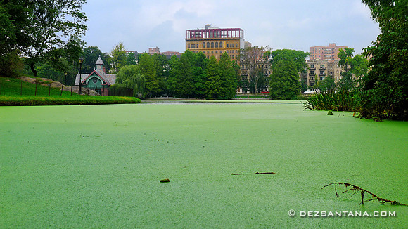 Harlem Meer