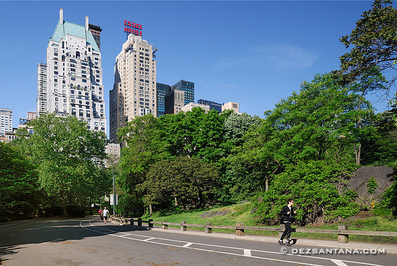 Park Drive