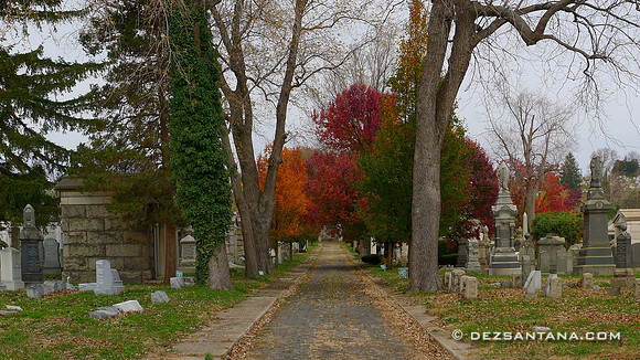 Machpelah Cemetery