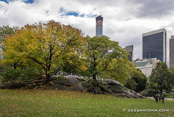 Central Park