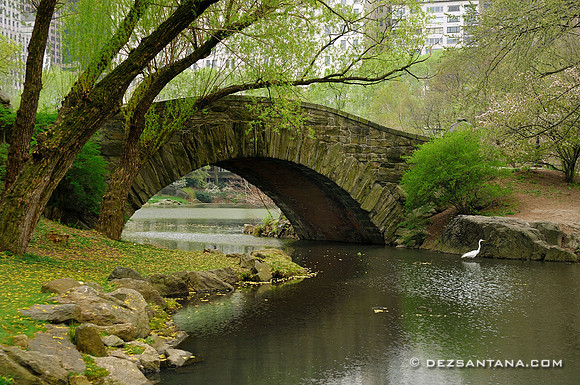 Gapstow Bridge