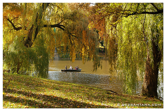 The Lake