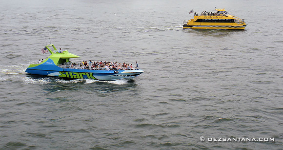 Shark Speedboat