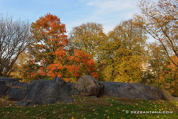 Autumn