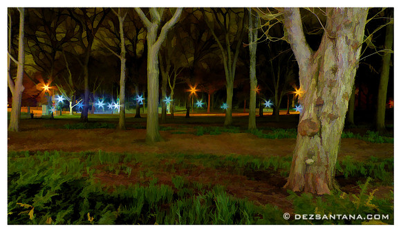 Stars In The Park