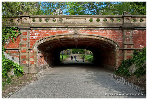 Driprock Arch