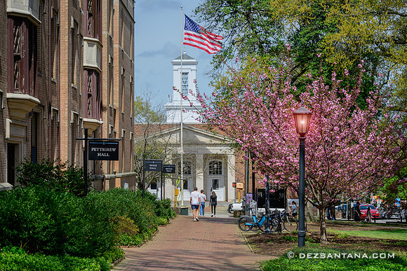 McCorkle Place