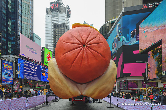 Hot Dog In The City