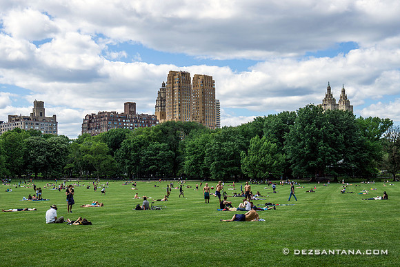 Sheep Meadow