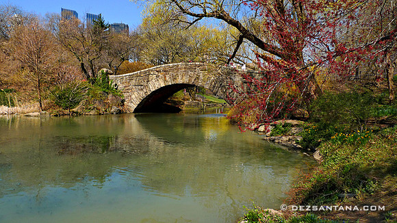 Gapstow Bridge, 2009