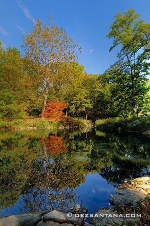 The Pool