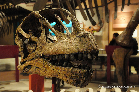 Smithsonian National Museum of Natural History