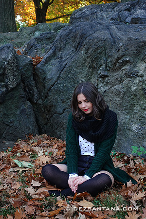 Fall Foliage
